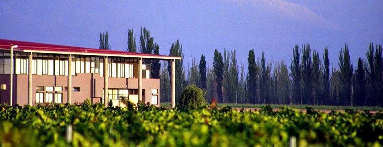 Bodega Tapiz. Agrelo, Mendoza.
