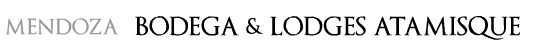 Bodega & Lodges Atamisque