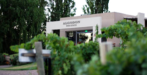 Atamisque Mendoza - Turismo Tupungato Mendoza - Bodega Atamisque - Winery Atamisque