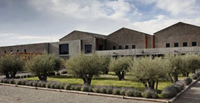 Atamisque Mendoza - Turismo Tupungato Mendoza - Bodega Atamisque - Winery Atamisque