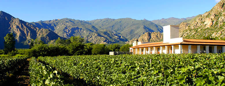 Vi�as de Cafayate Wine Resort. Cafayate, Salta.